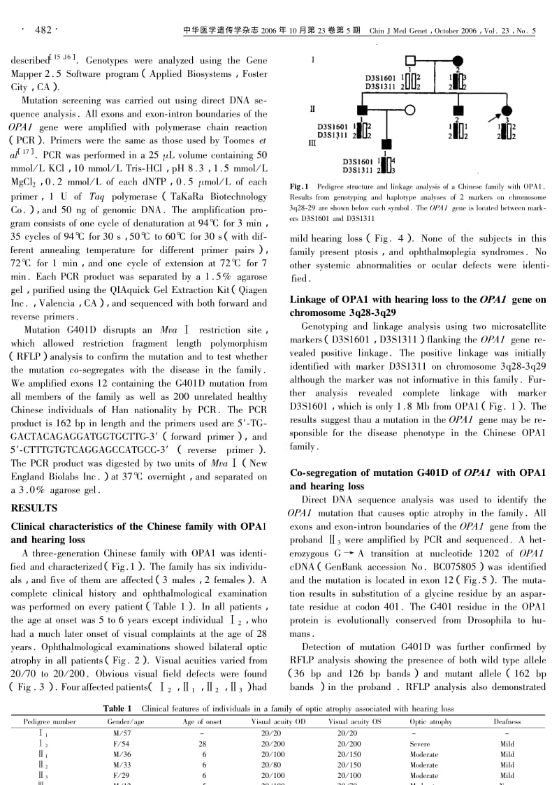 OPA1基因G401D突变导致常染色体视神经萎缩和听力受损.pdf_第2页