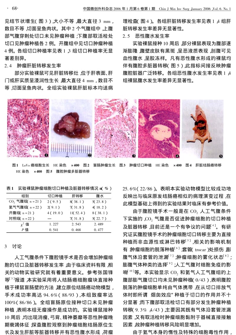 人工气腹对裸鼠结肠癌切口种植及脏器转移影响的实验研究.pdf_第3页