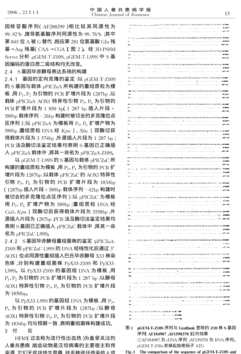 汉坦病毒S基因毕赤酵母表达系统的构建.pdf_第3页