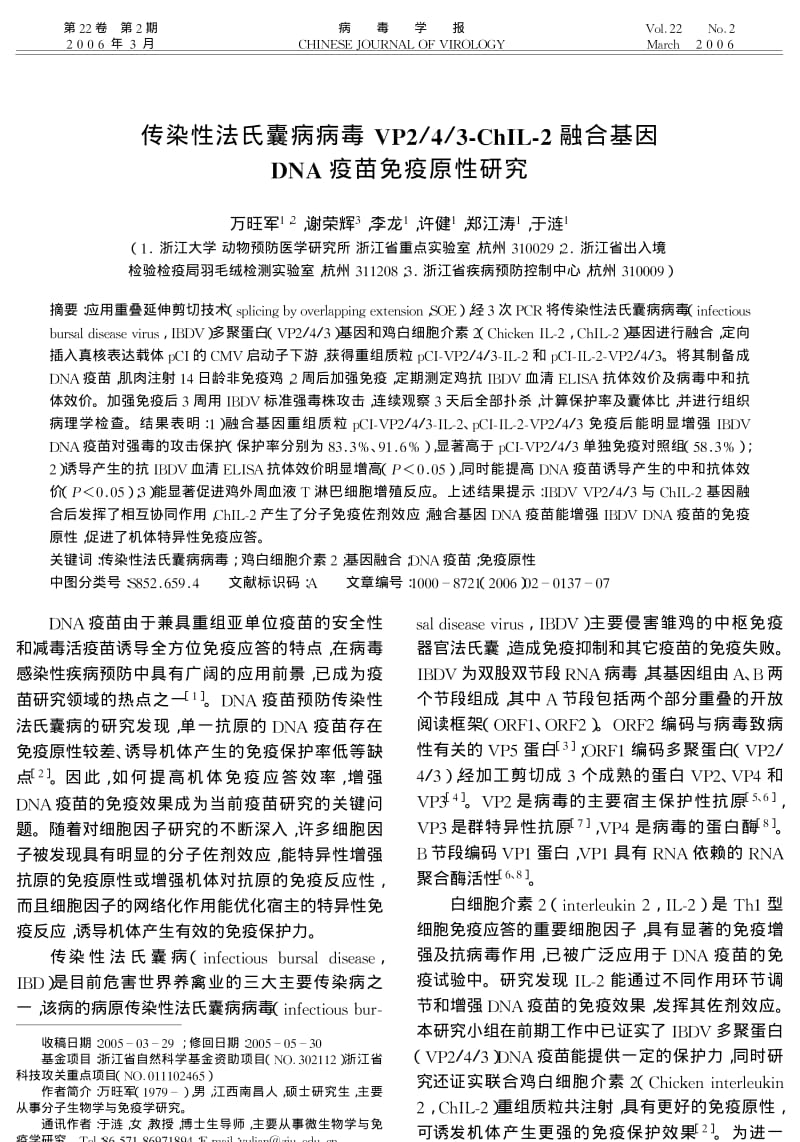 传染性法氏囊病病毒 VP243CHIL2融合基因DNA疫苗免疫原性研究.pdf_第1页