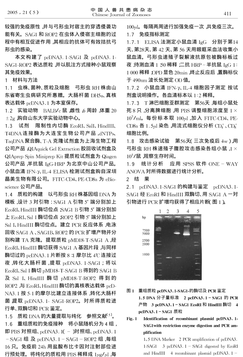 弓形虫SAG1单基因疫苗与SAG1ROP2复合基因疫苗的免疫效果观察.pdf_第2页