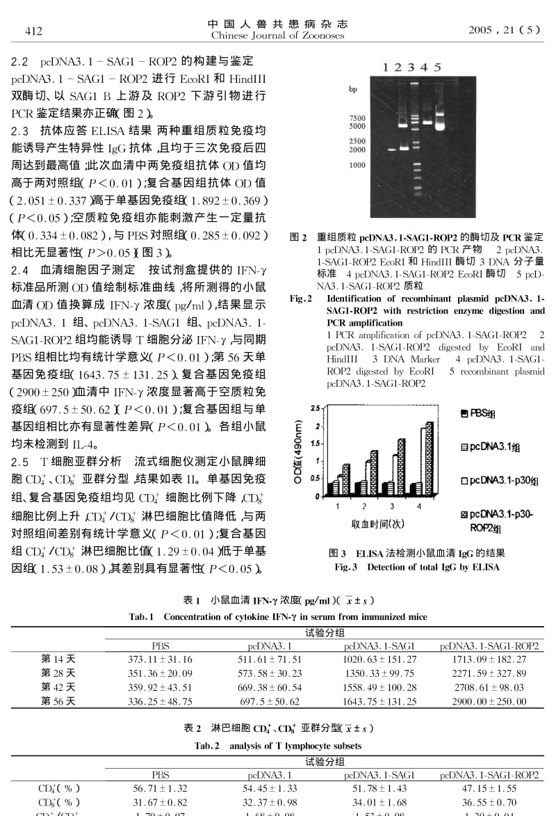 弓形虫SAG1单基因疫苗与SAG1ROP2复合基因疫苗的免疫效果观察.pdf_第3页