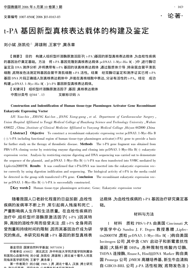 TPA基因新型真核表达载体的构建及鉴定.pdf_第1页