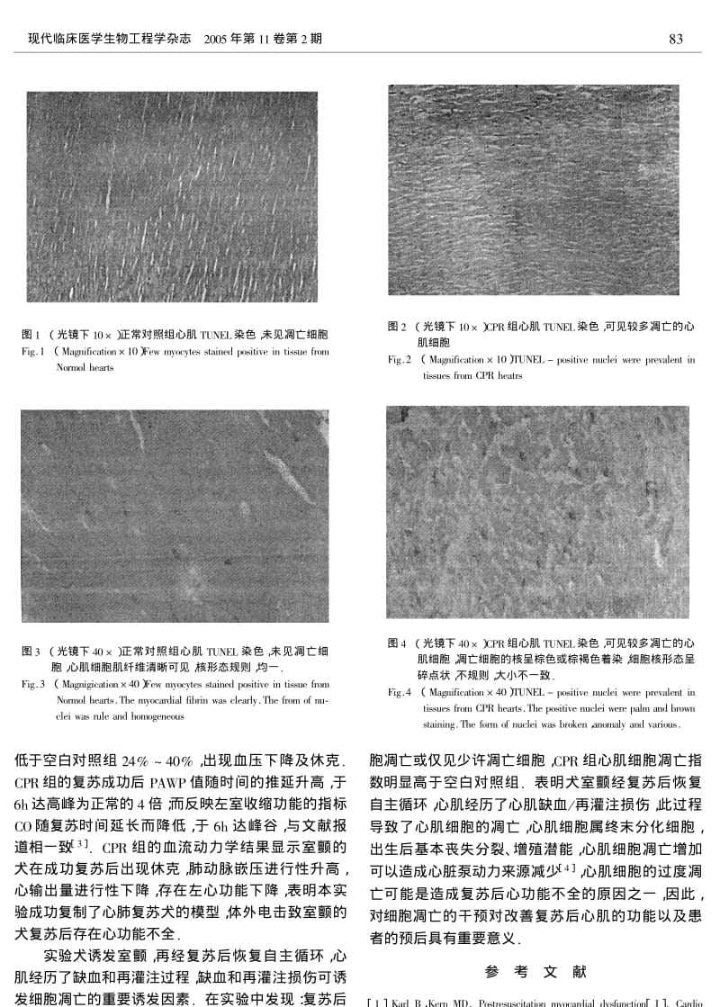 复苏后心功能不全犬模型心肌凋亡的变化.pdf_第3页