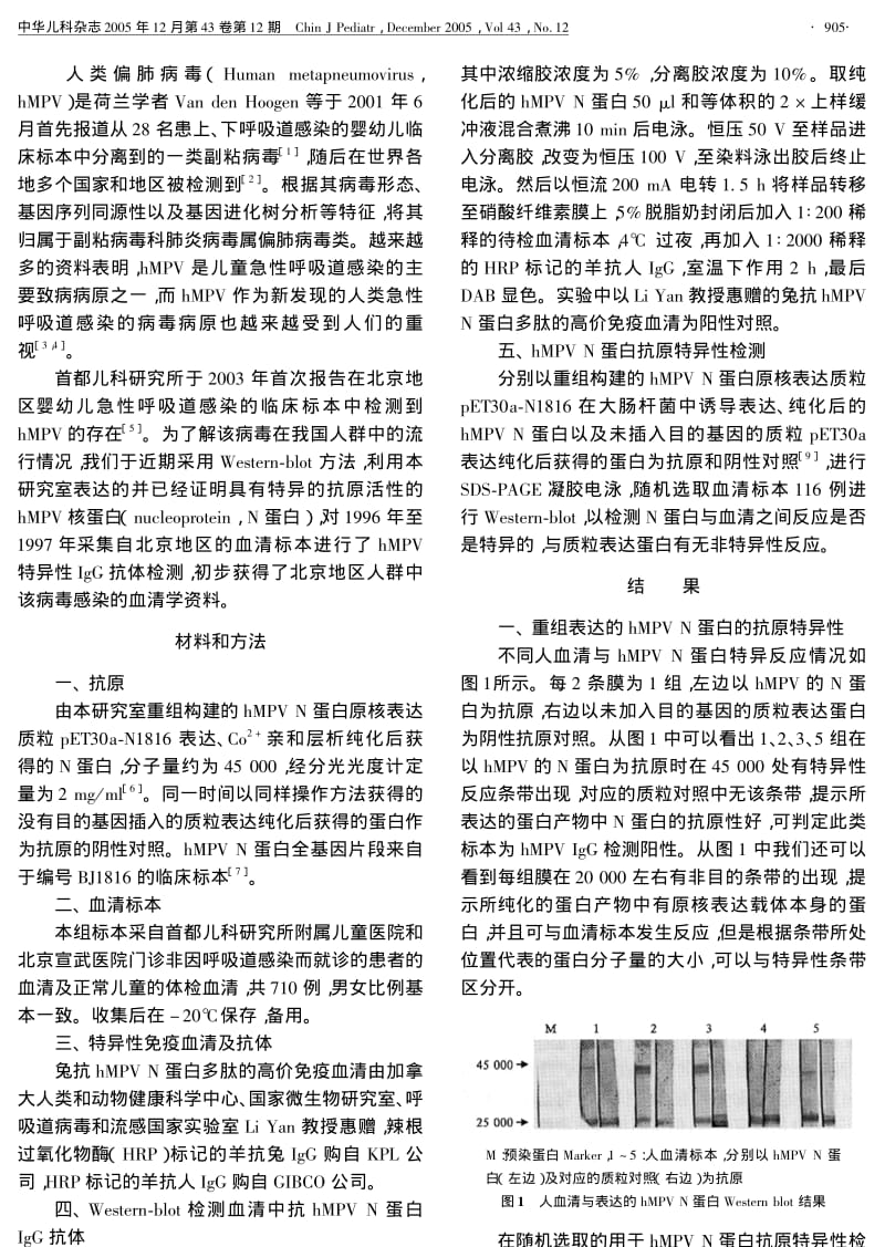 北京地区人群中人偏肺病毒血清抗体水平的初步调查.pdf_第2页