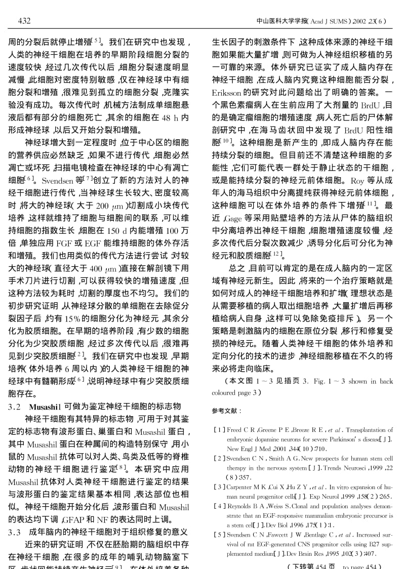 人类神经干细胞的长期培养和传代.pdf_第3页