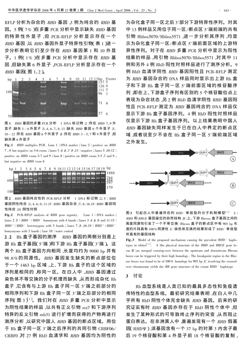 中国汉族RHD阴性个体RH盒子基因的测序及RHD基因的纯合性测定.pdf_第3页