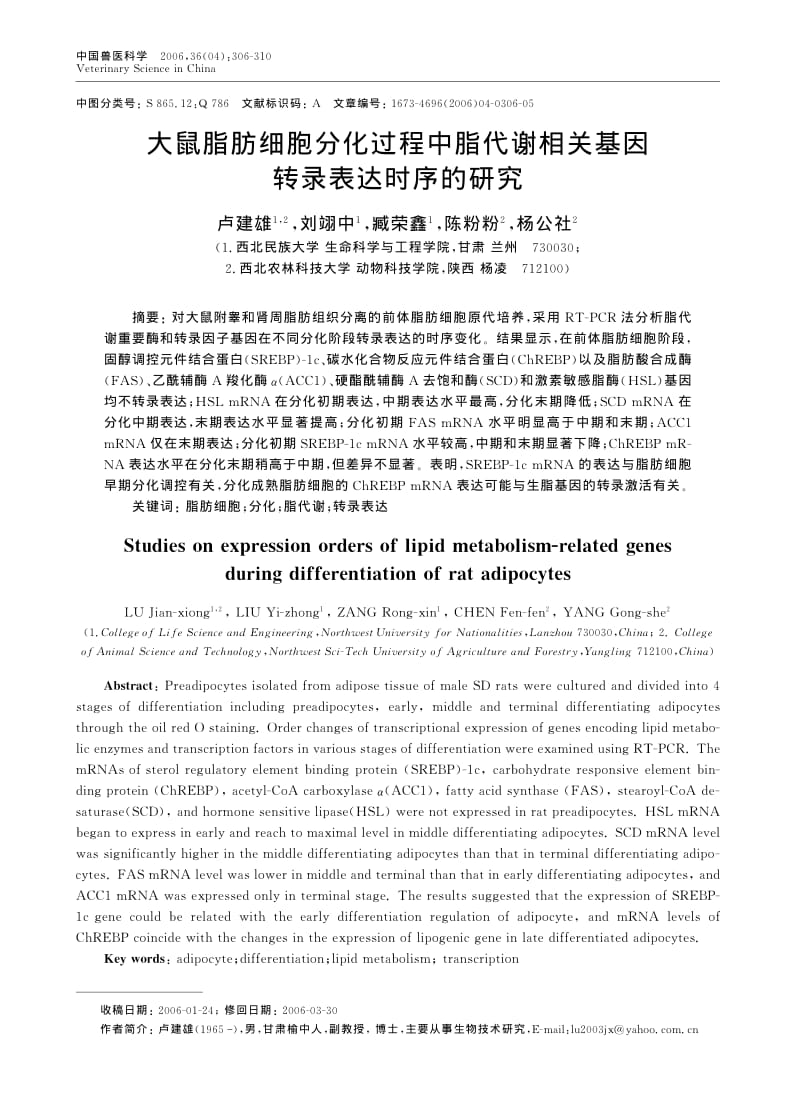 大鼠脂肪细胞分化过程中脂代谢相关基因转录表达时序的研究.pdf_第1页