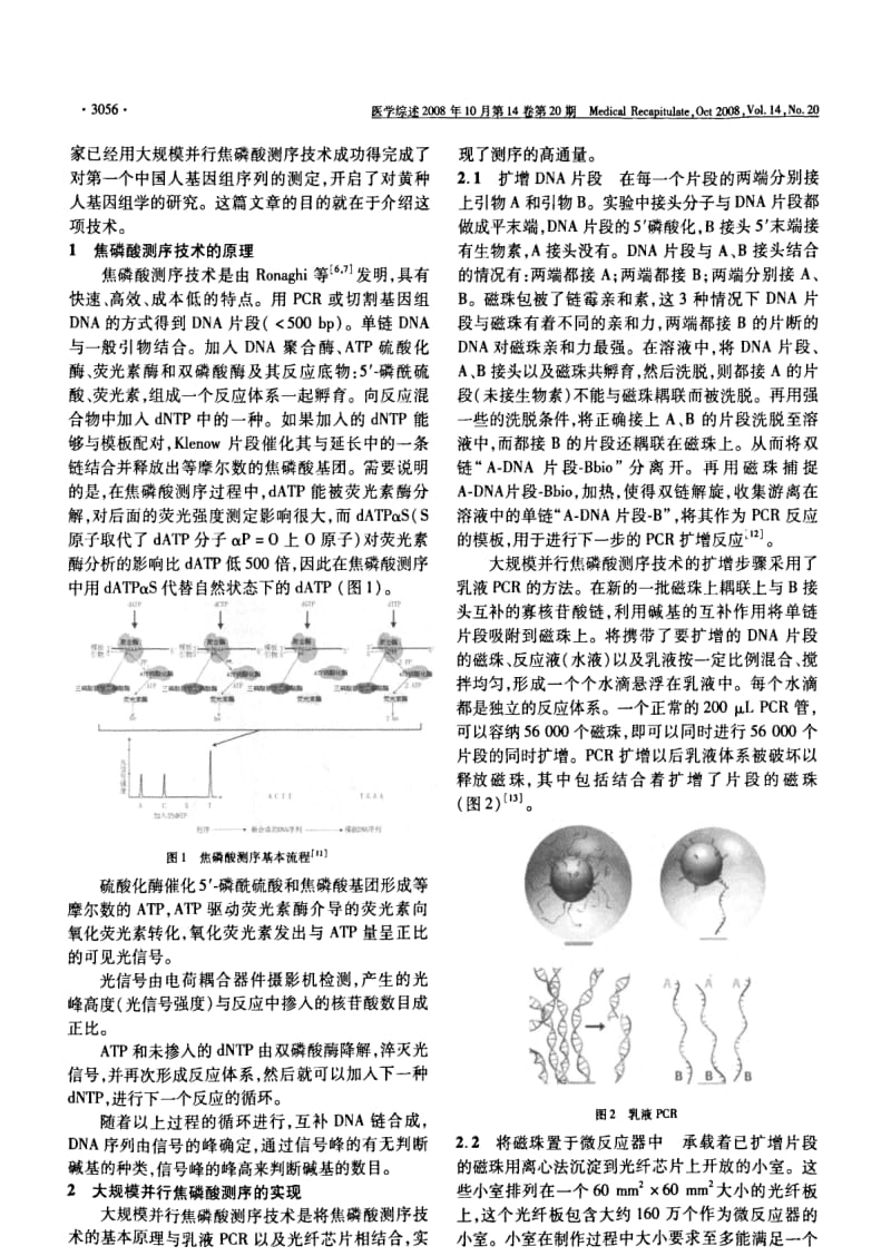 大规模并行焦磷酸测序技术简介.pdf_第2页
