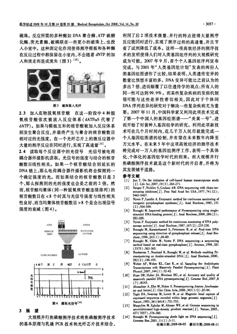 大规模并行焦磷酸测序技术简介.pdf_第3页