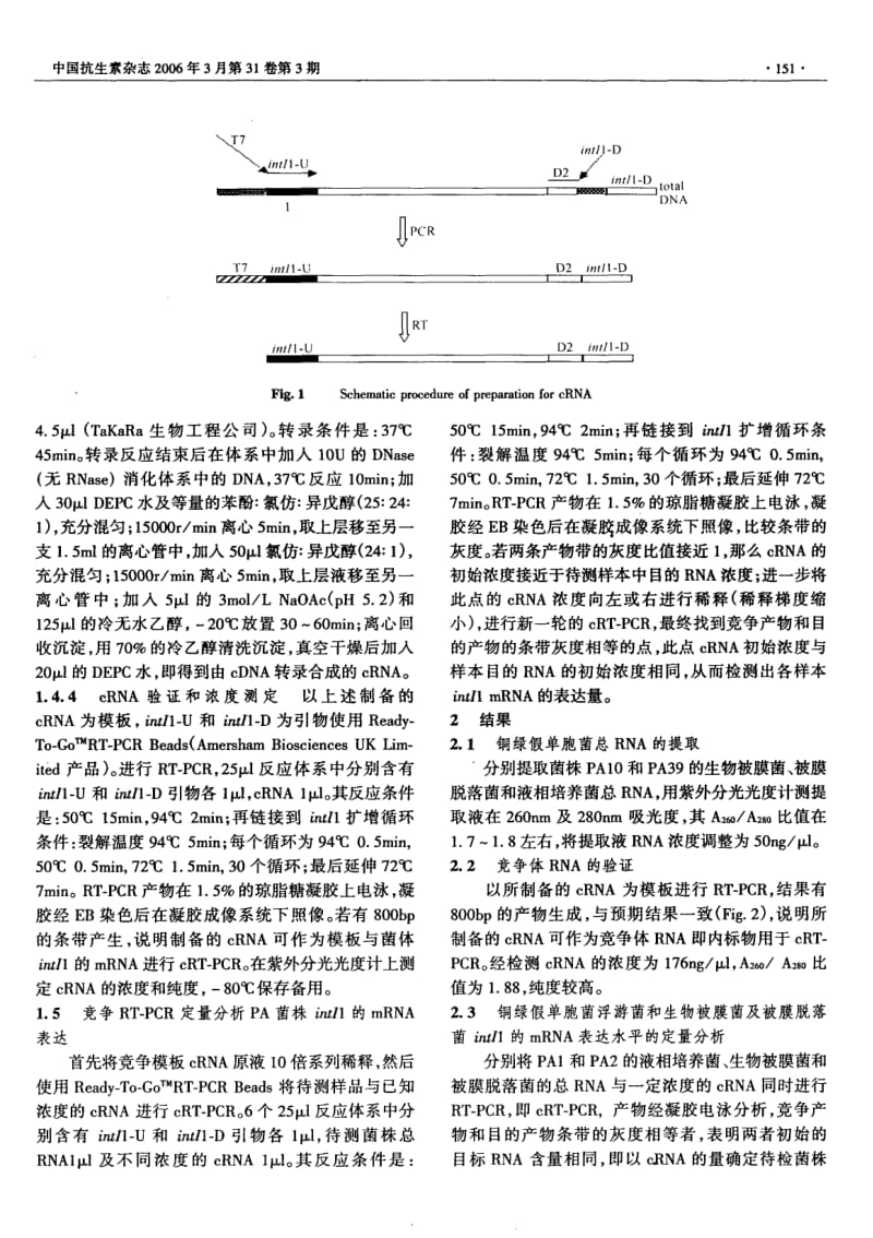 定量分析铜绿假单胞菌第一类整合酶基因的表达.pdf_第3页