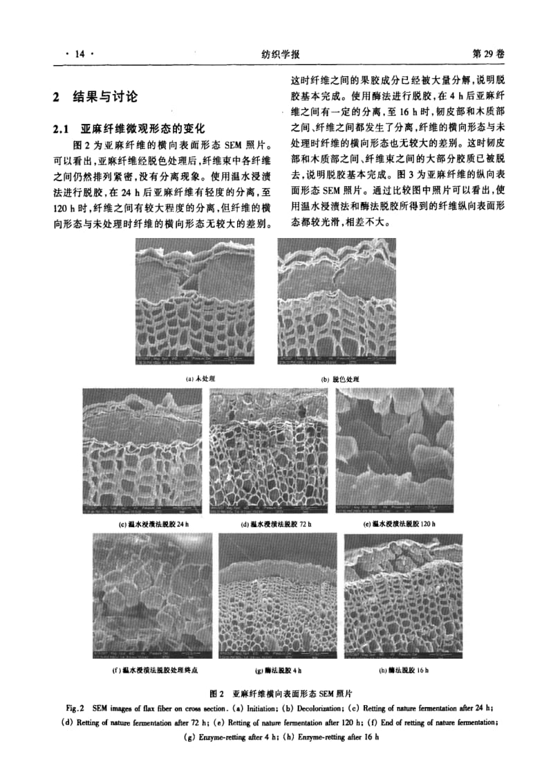 亚麻纤维在脱胶过程中形态结构的变化.pdf_第3页