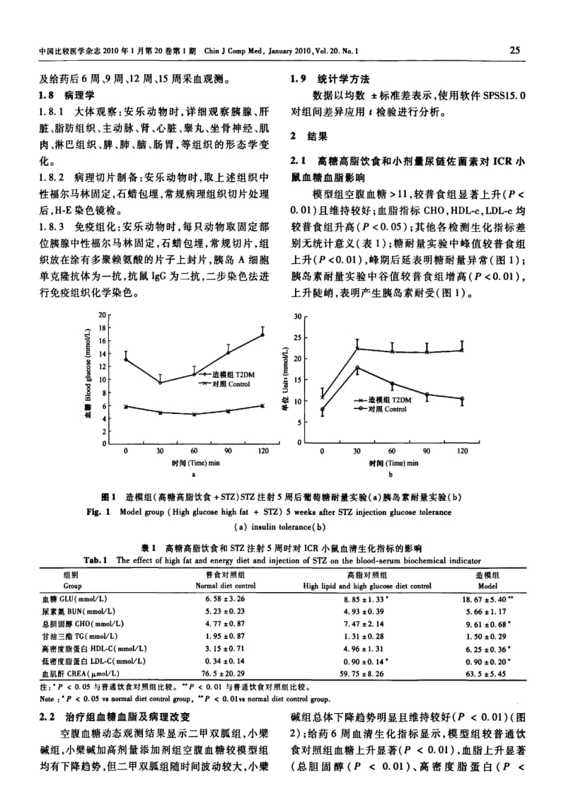 小檗碱对2型糖尿病ICR小鼠模型的治疗作用.pdf_第3页