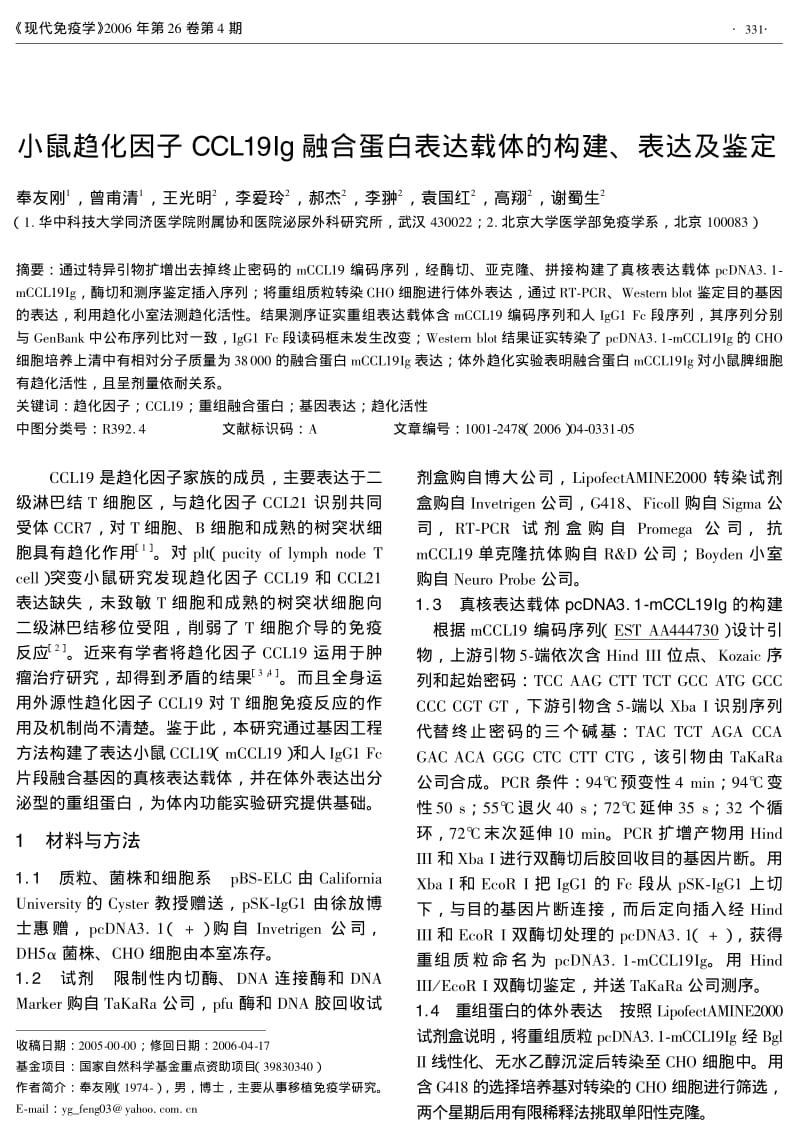 小鼠趋化因子CCL19IG融合蛋白表达载体的构建、表达及鉴定.pdf_第1页