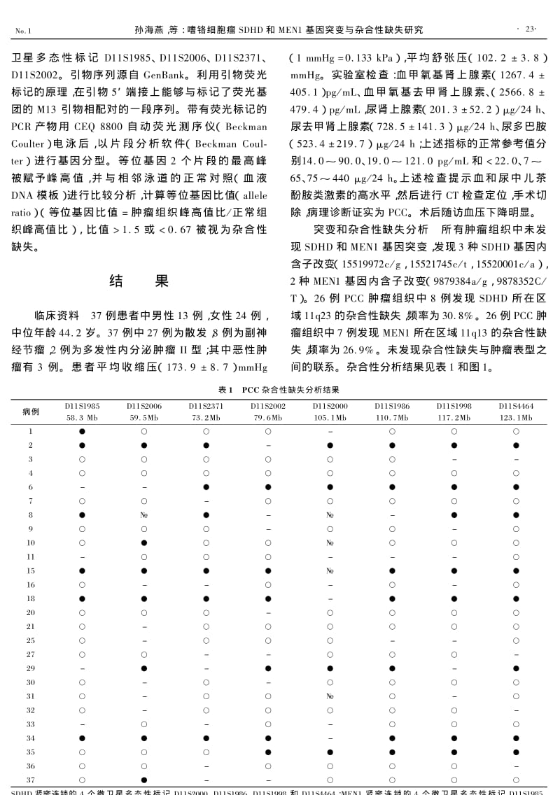 嗜铬细胞瘤SDHD和MEN1基因突变与杂合性缺失研究.pdf_第2页