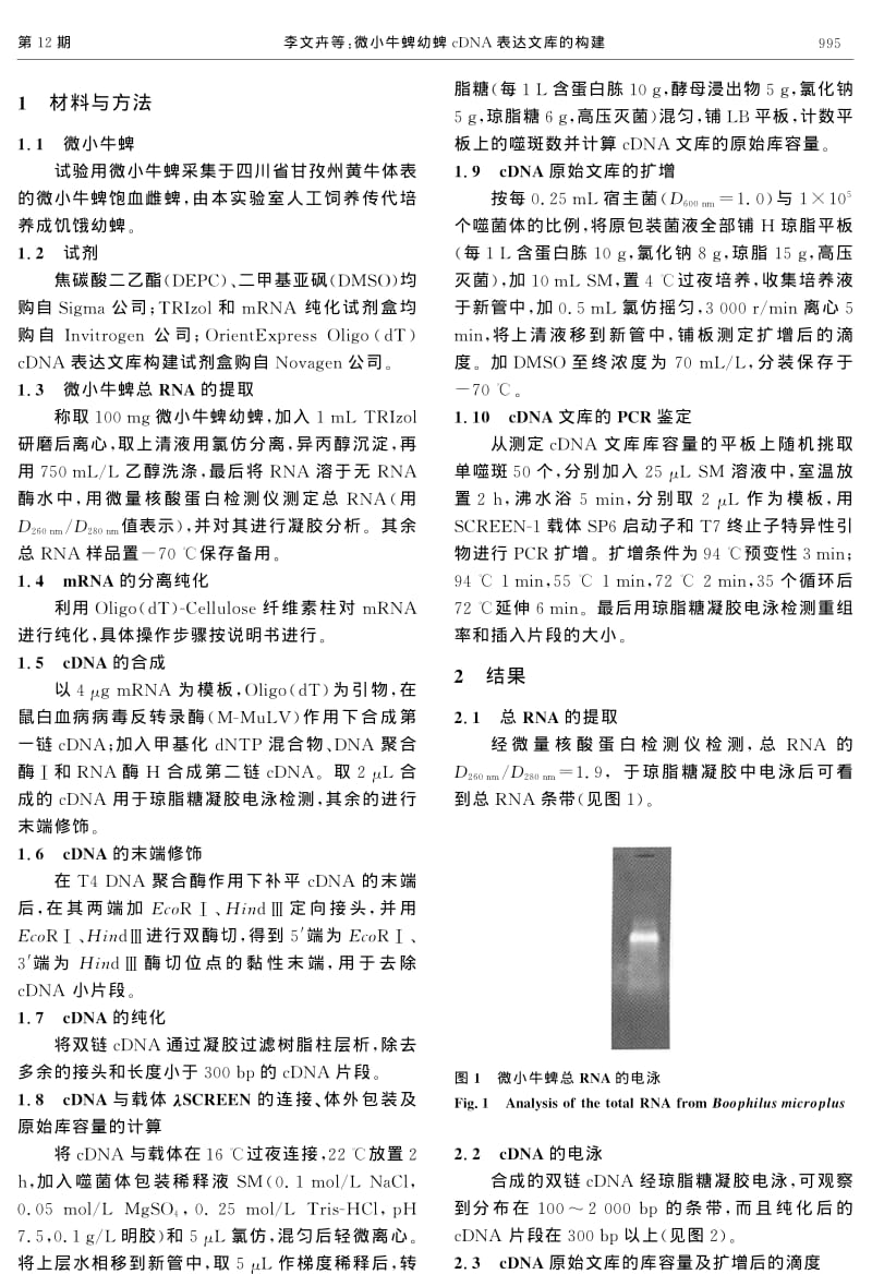 微小牛蜱幼蜱CDNA表达文库的构建.pdf_第2页