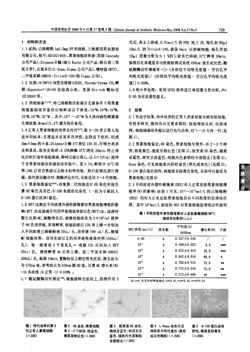 己烯雌酚对体外培养正常人表皮黑素细胞的作用.pdf_第3页