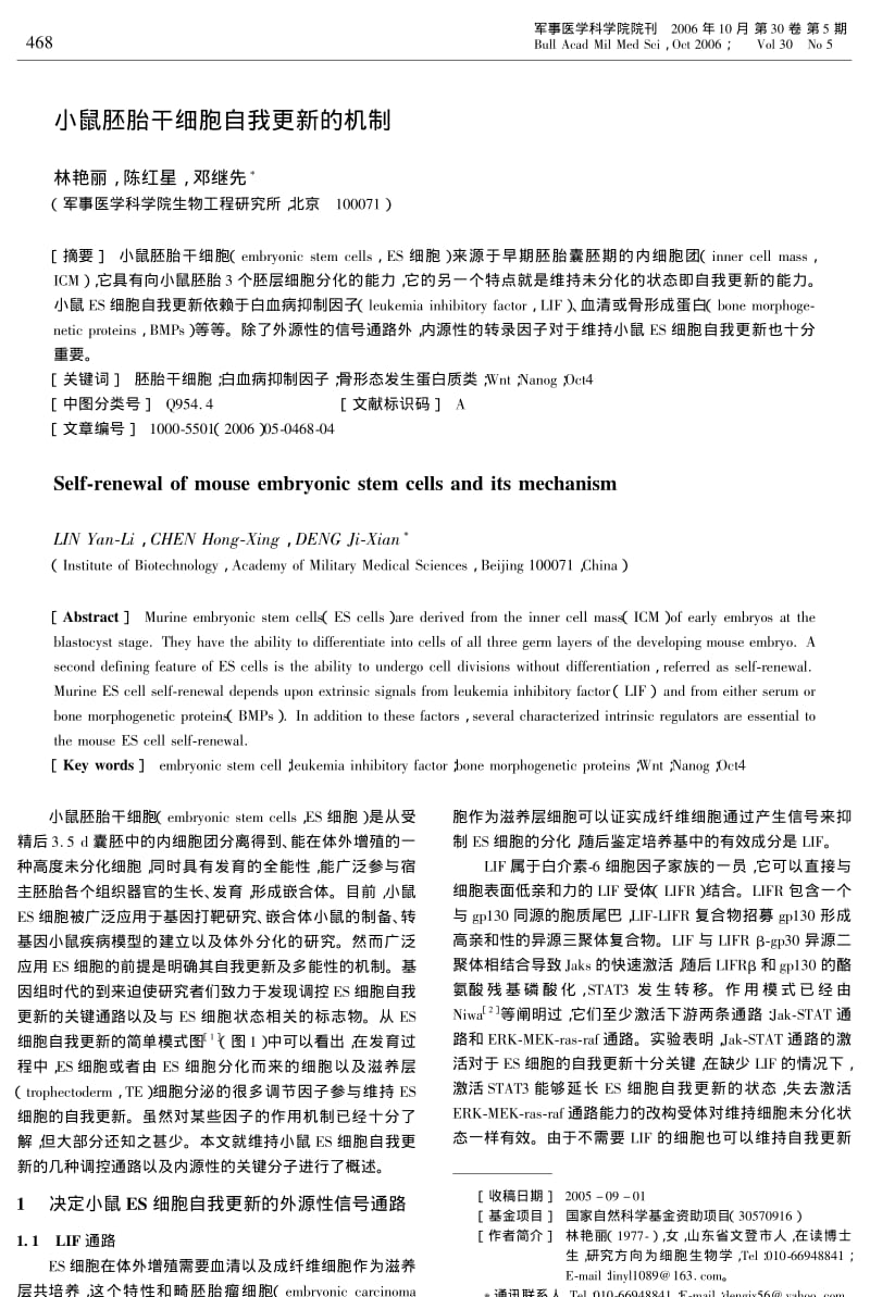 小鼠胚胎干细胞自我更新的机制.pdf_第1页