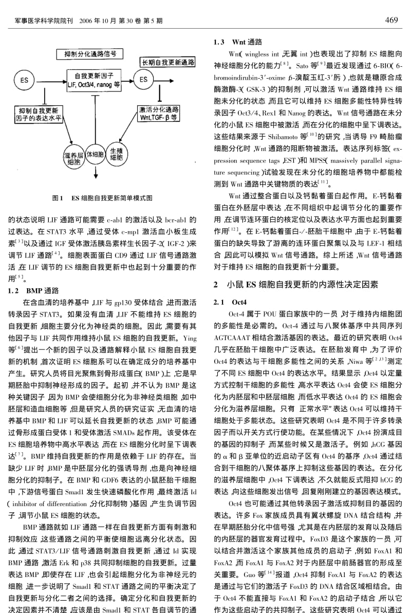 小鼠胚胎干细胞自我更新的机制.pdf_第2页