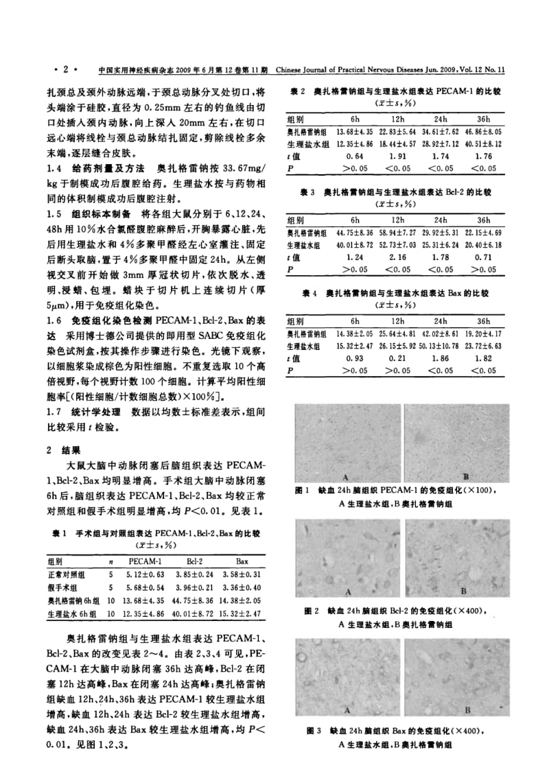 奥扎格雷钠对大鼠局灶性脑缺血血小板内皮细胞黏附分子-1、Bcl-2、Bax表达的影响.pdf_第2页