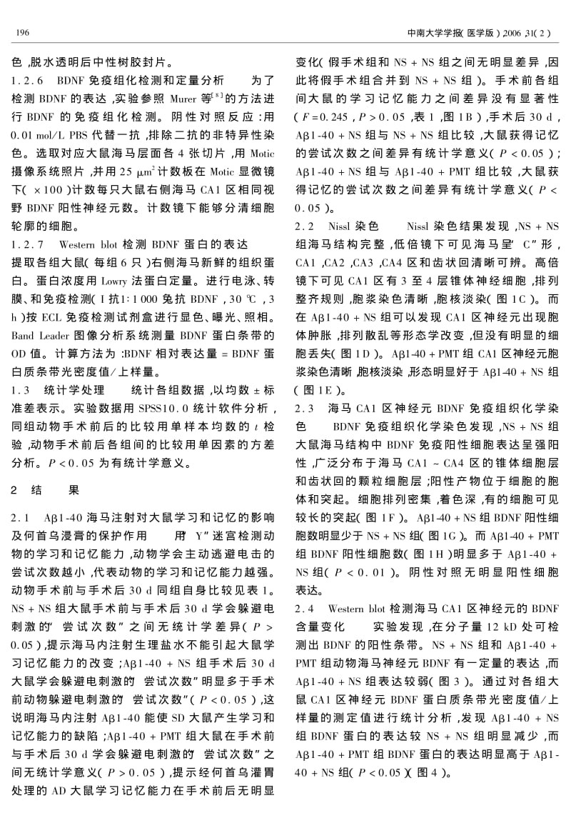 何首乌对Aβ140诱导的大鼠海马神经元内BDNF表达的影响.pdf_第3页