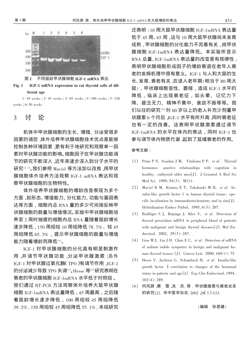 体外培养甲状腺细胞IGF-1mRNA在大鼠增龄的表达.pdf_第3页