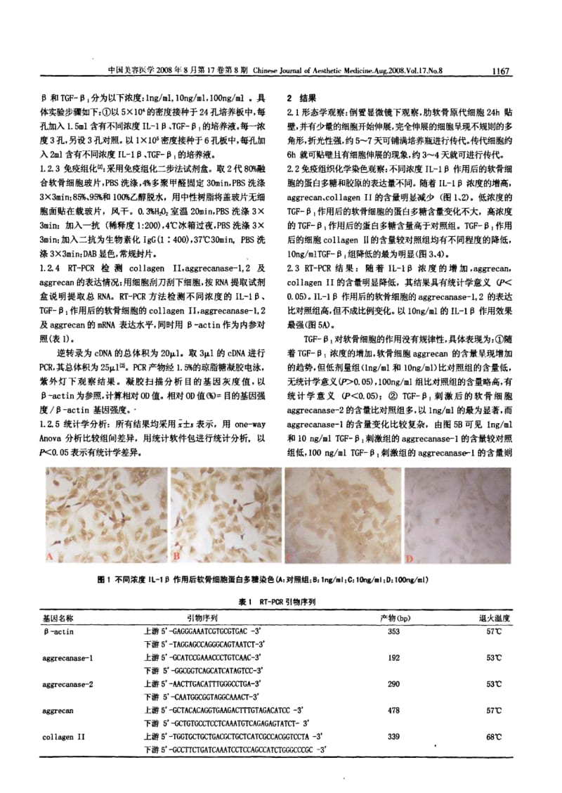 不同浓度的IL1β和TGFβ1对大鼠肋软骨细胞的影响.pdf_第2页