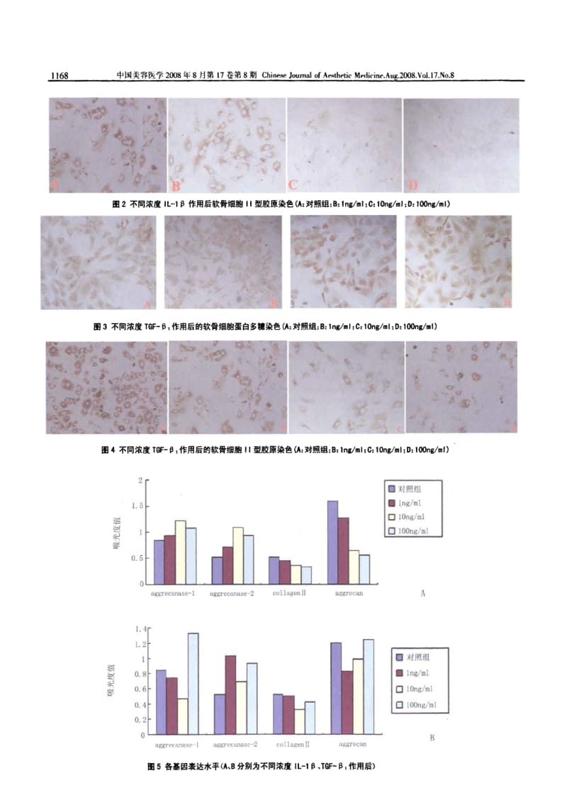 不同浓度的IL1β和TGFβ1对大鼠肋软骨细胞的影响.pdf_第3页