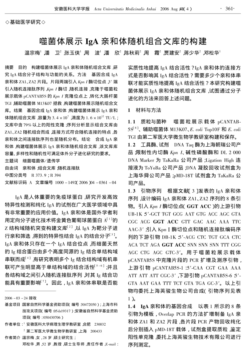 噬菌体展示IGA亲和体随机组合文库的构建.pdf_第1页