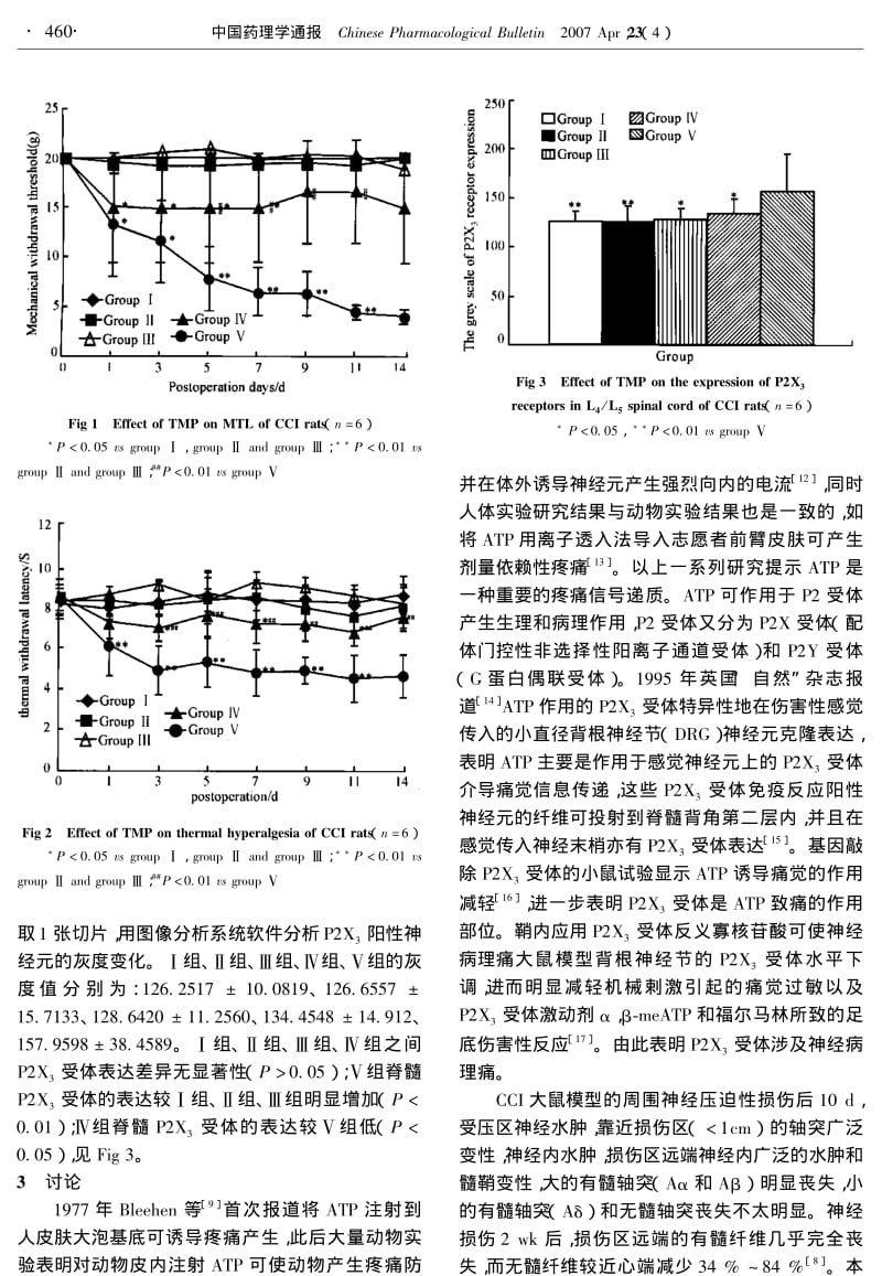 川芎嗪对P2X3受体介导的神经病理痛的作用研究.pdf_第3页