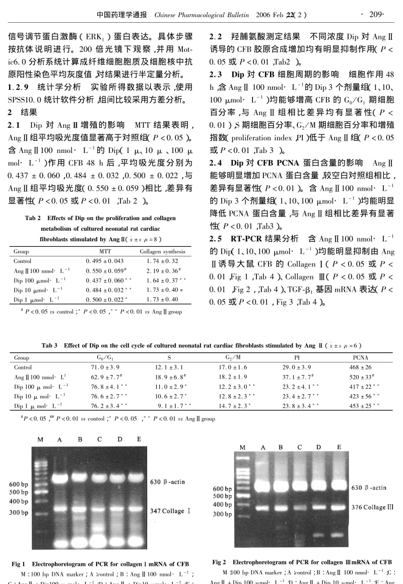 双苯氟嗪对血管紧张素Ⅱ诱导新生大鼠心肌成纤维细胞增殖和胶原合成的影响及其机制研究.pdf_第3页