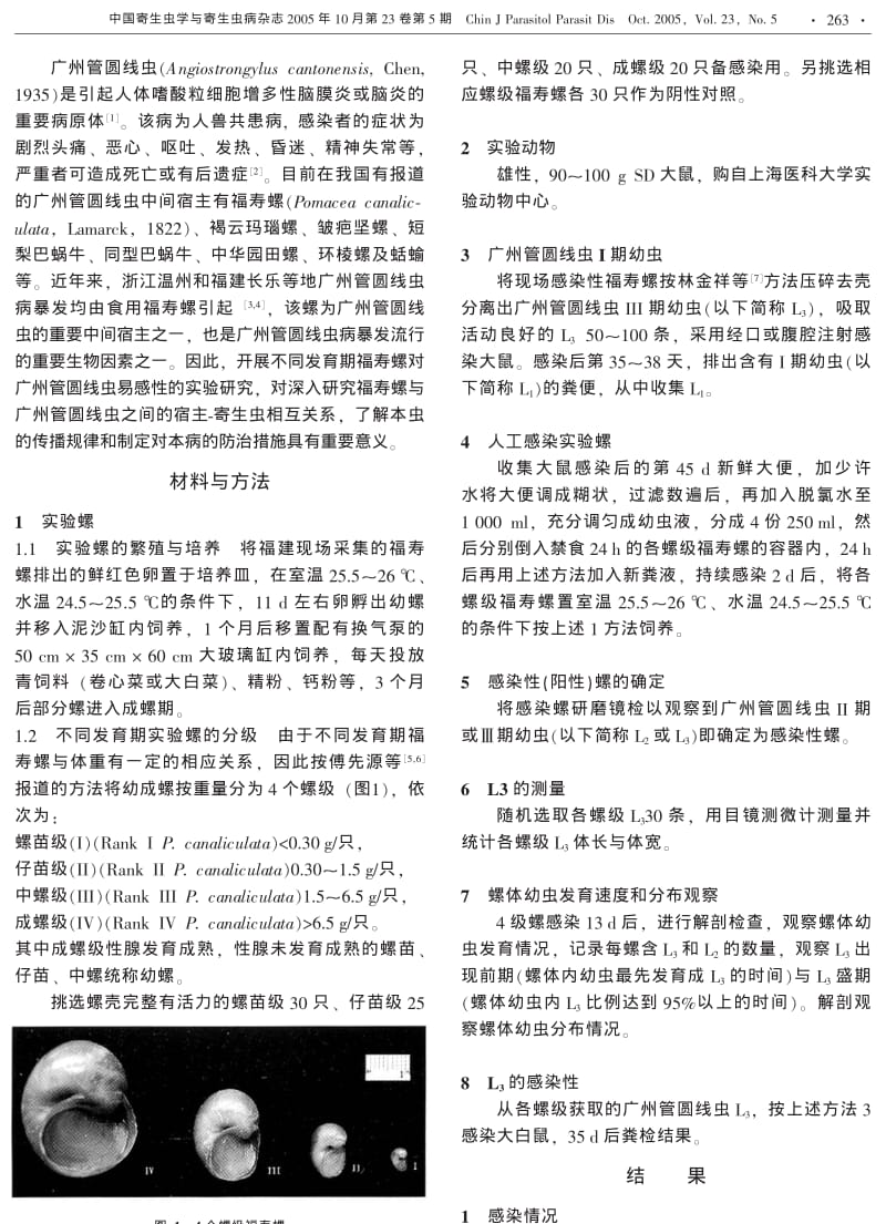 不同发育期福寿螺对广州管圆线虫易感性的实验研究.pdf_第2页