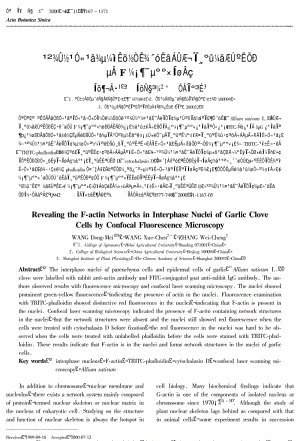 共聚焦荧光镜检术揭示大蒜鳞片细胞间期核中的F肌动蛋白网络.pdf