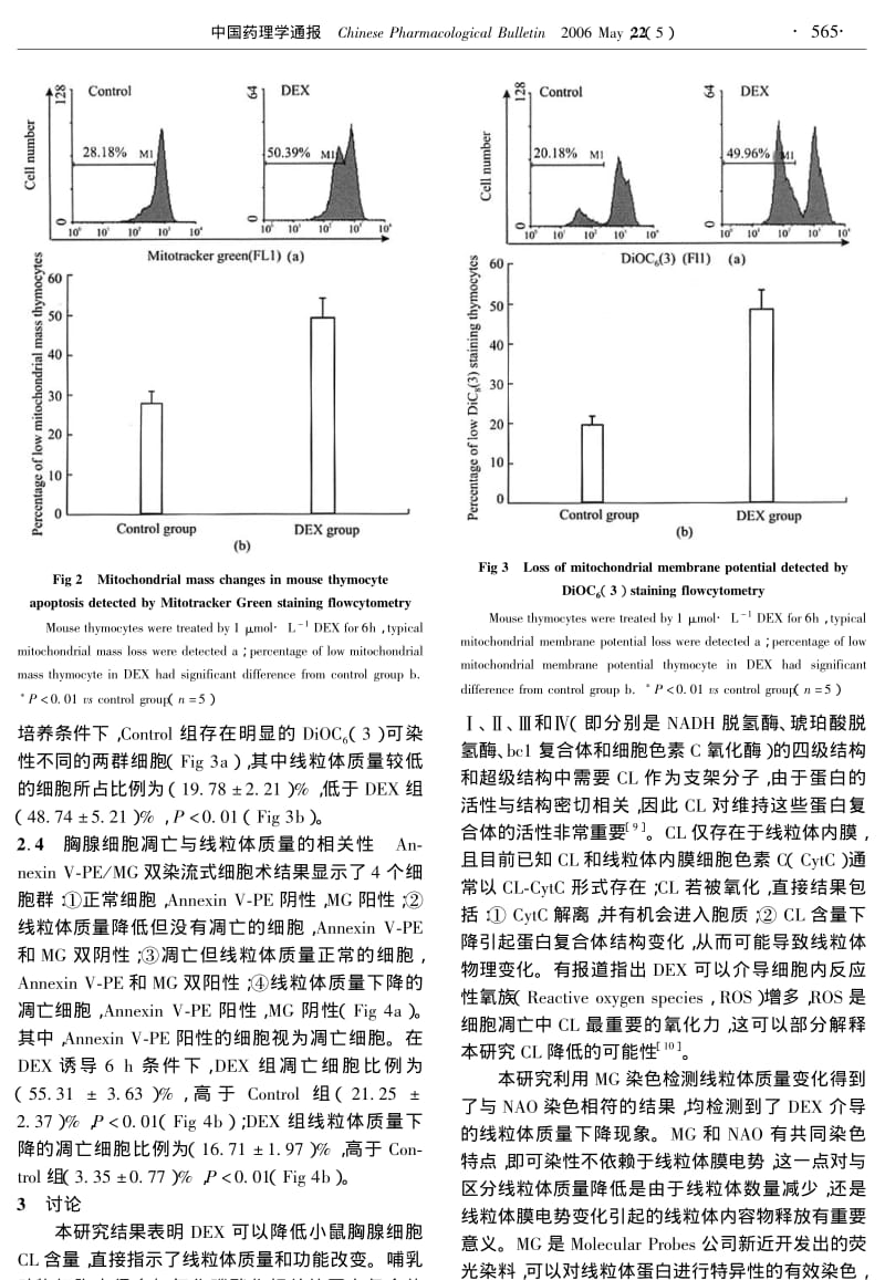 地塞米松诱导小鼠胸腺细胞凋亡中线粒体质量的变化.pdf_第3页