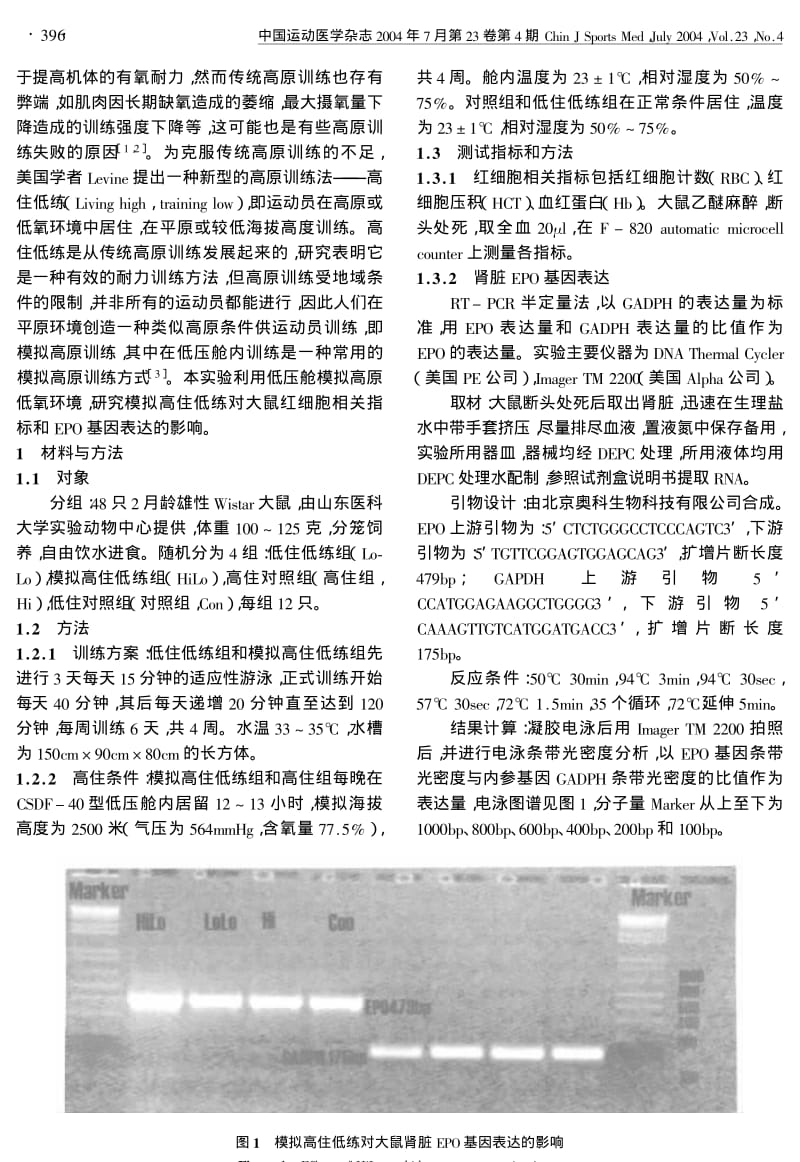 模拟高住低练对大鼠红细胞相关指标和EPO基因表达的影响.pdf_第2页