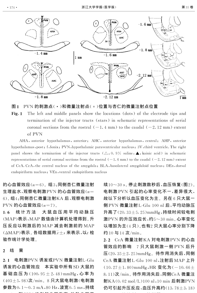 杏仁中央核在下丘脑室旁核心血管反应中的作用.pdf_第3页