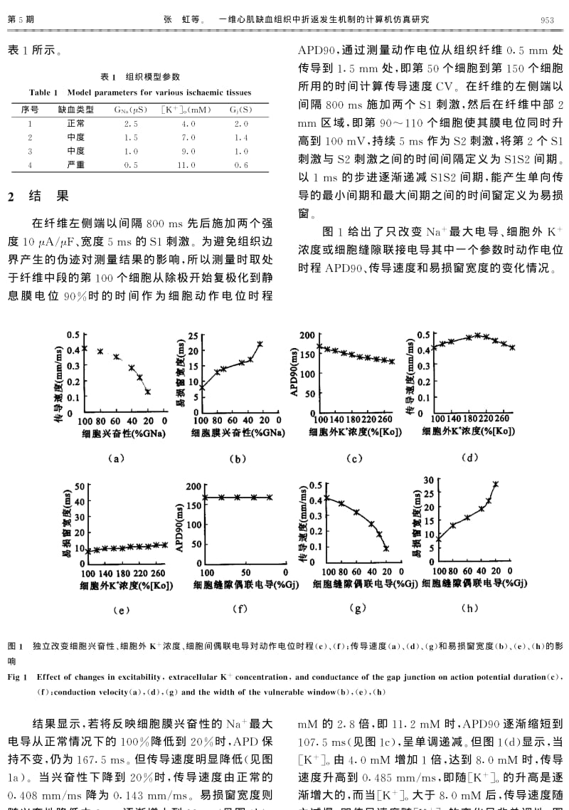 一维心肌缺血组织中折返发生机制的计算机仿真研究.pdf_第3页