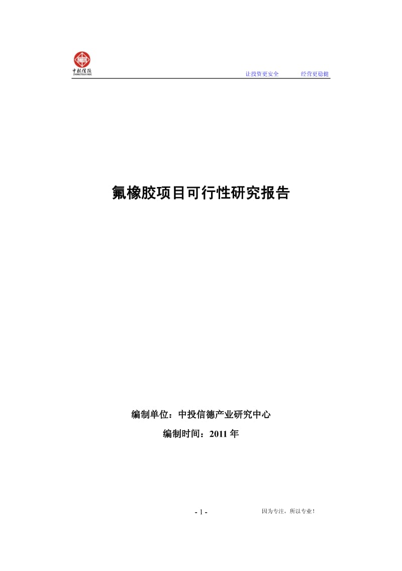 氟橡胶项目可行性研究报告.pdf_第1页