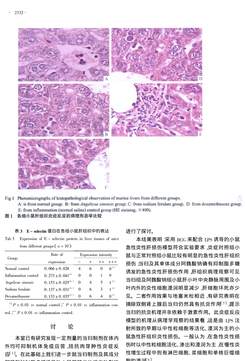 当归、阿魏酸钠对小鼠炎性肝损伤的抑制效应及其与ICAM1和ESELECTIN表达的关系研究.pdf_第3页