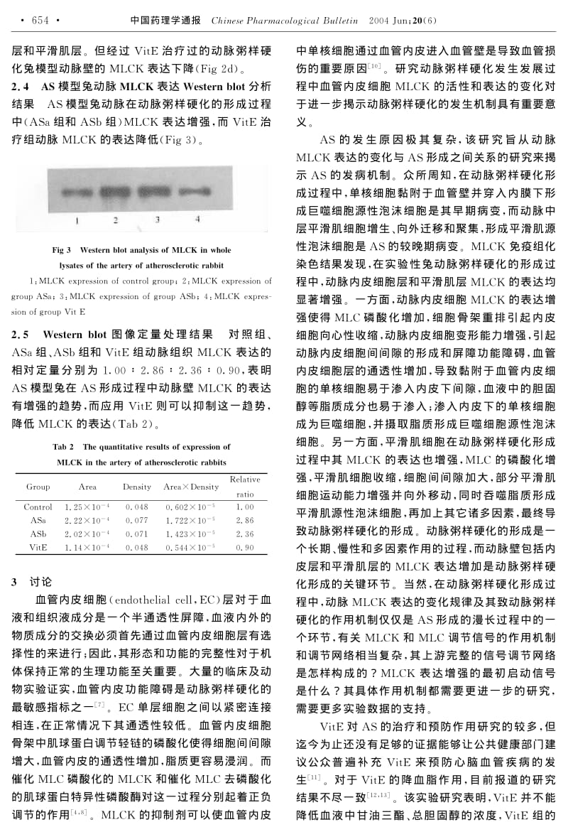 Vit E对动脉粥样硬化模型兔动脉肌球蛋白轻链激酶表达的影响.pdf_第3页