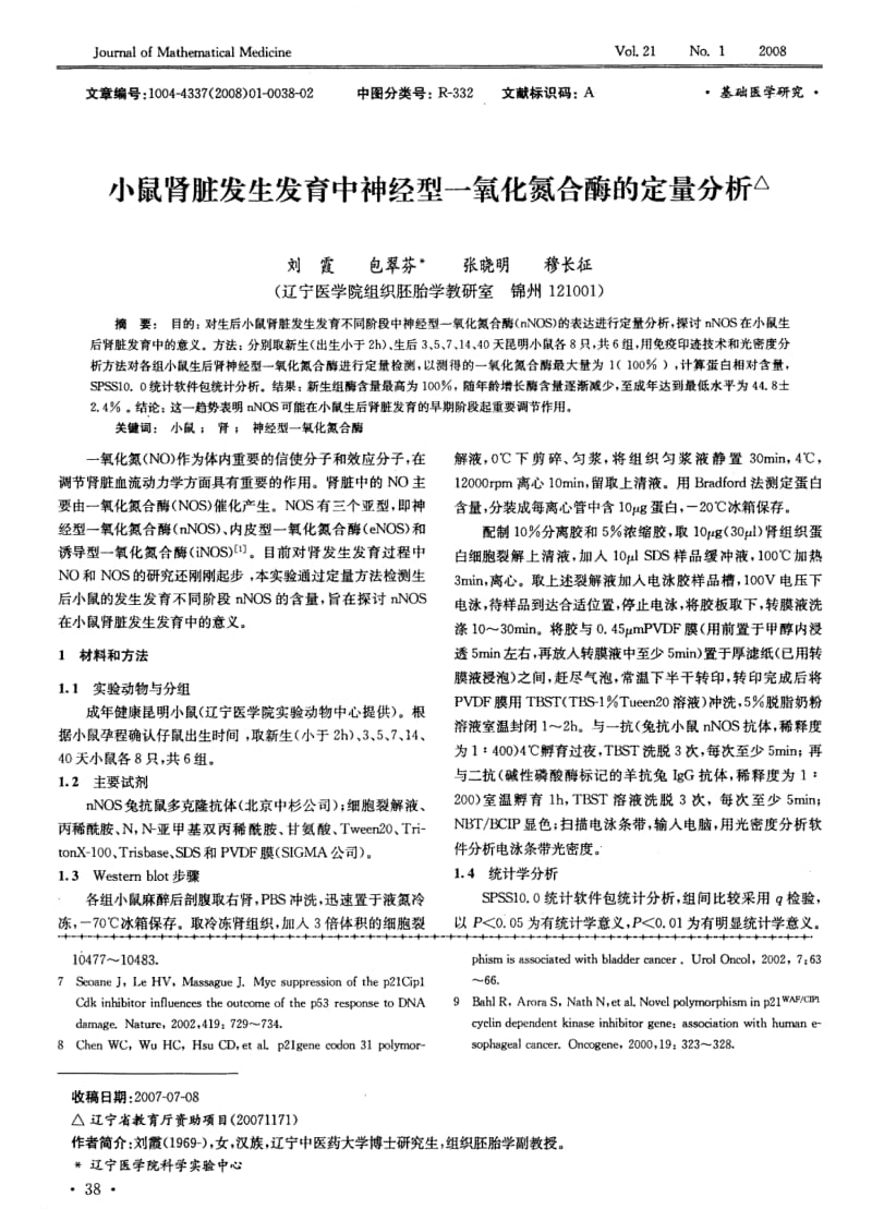 小鼠肾脏发生发育中神经型一氧化氮合酶的定量分析.pdf_第1页