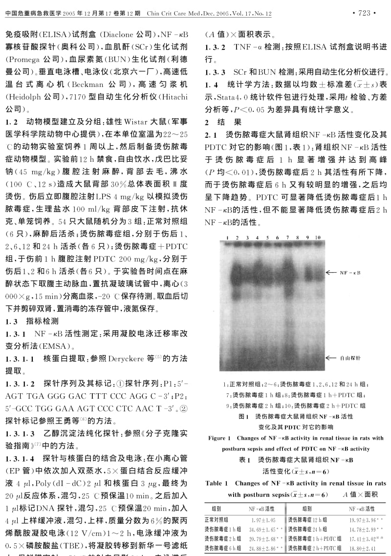 烫伤脓毒症大鼠肾脏核转录因子κB活化与肾损伤关系的研究.pdf_第2页