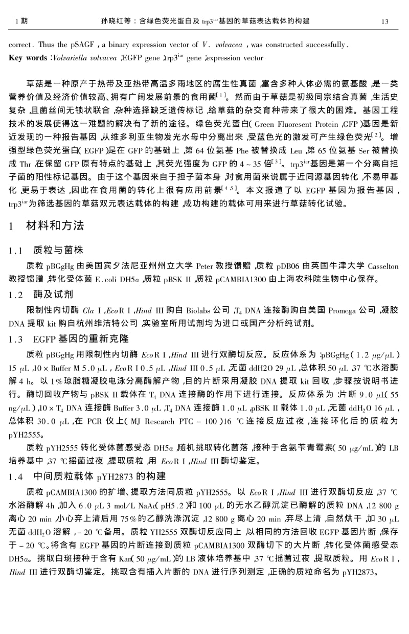 含绿色荧光蛋白及TRP3IAR基因的草菇表达载体的构建.pdf_第2页