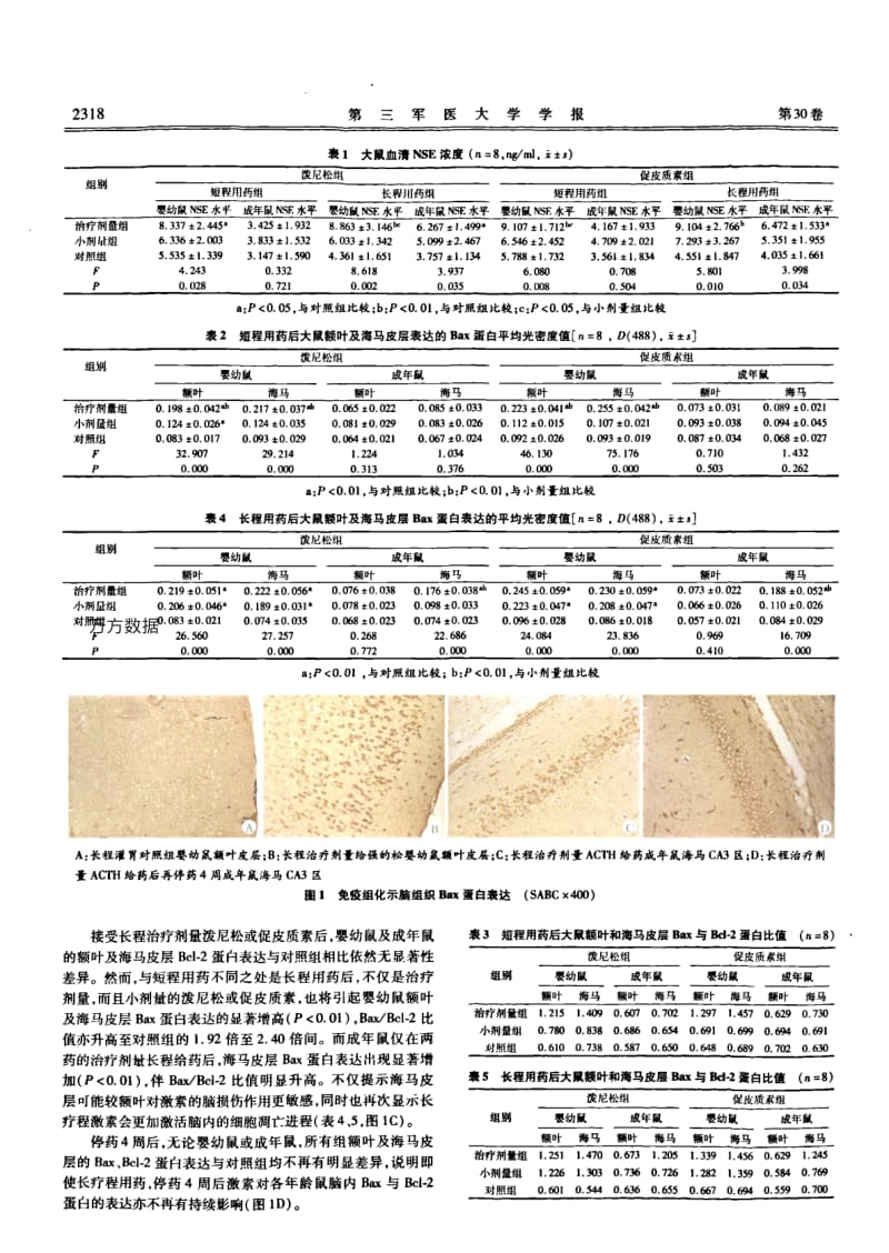 泼尼松与促皮质素致未成熟脑损伤机制的初步探讨.pdf_第3页