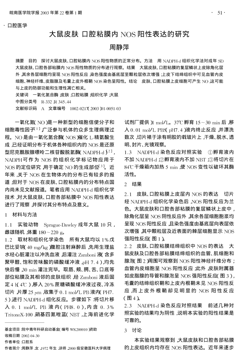 大鼠皮肤口腔粘膜内NOS阳性表达的研究.pdf_第1页