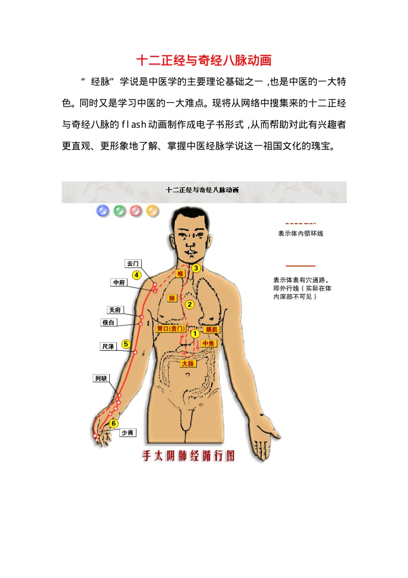 十二正经与奇经八脉动画.pdf_第1页