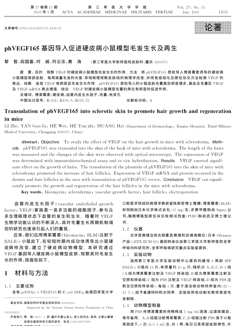 PHVEGF165基因导入促进硬皮病小鼠模型毛发生长及再生.pdf_第1页