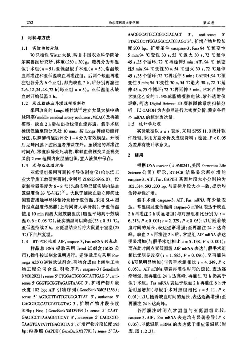 局部亚低温对大鼠局灶性脑缺血再灌注后凋亡相关因子的影响.pdf_第2页