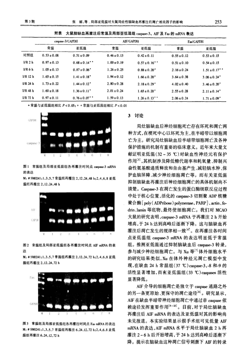 局部亚低温对大鼠局灶性脑缺血再灌注后凋亡相关因子的影响.pdf_第3页