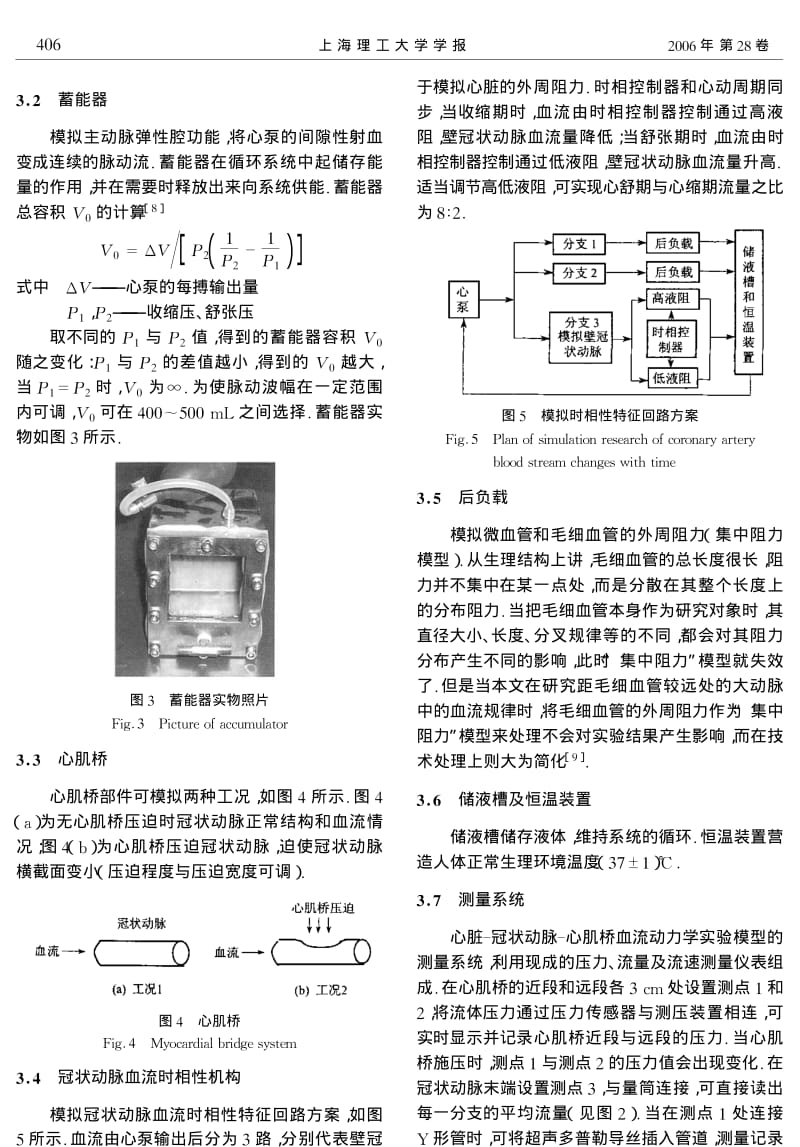 心脏冠状动脉心肌桥血流动力学实验模型的研究.pdf_第3页